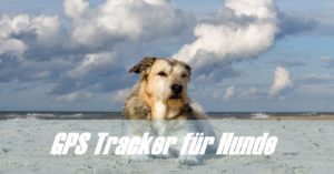 GPS Tracker Hund